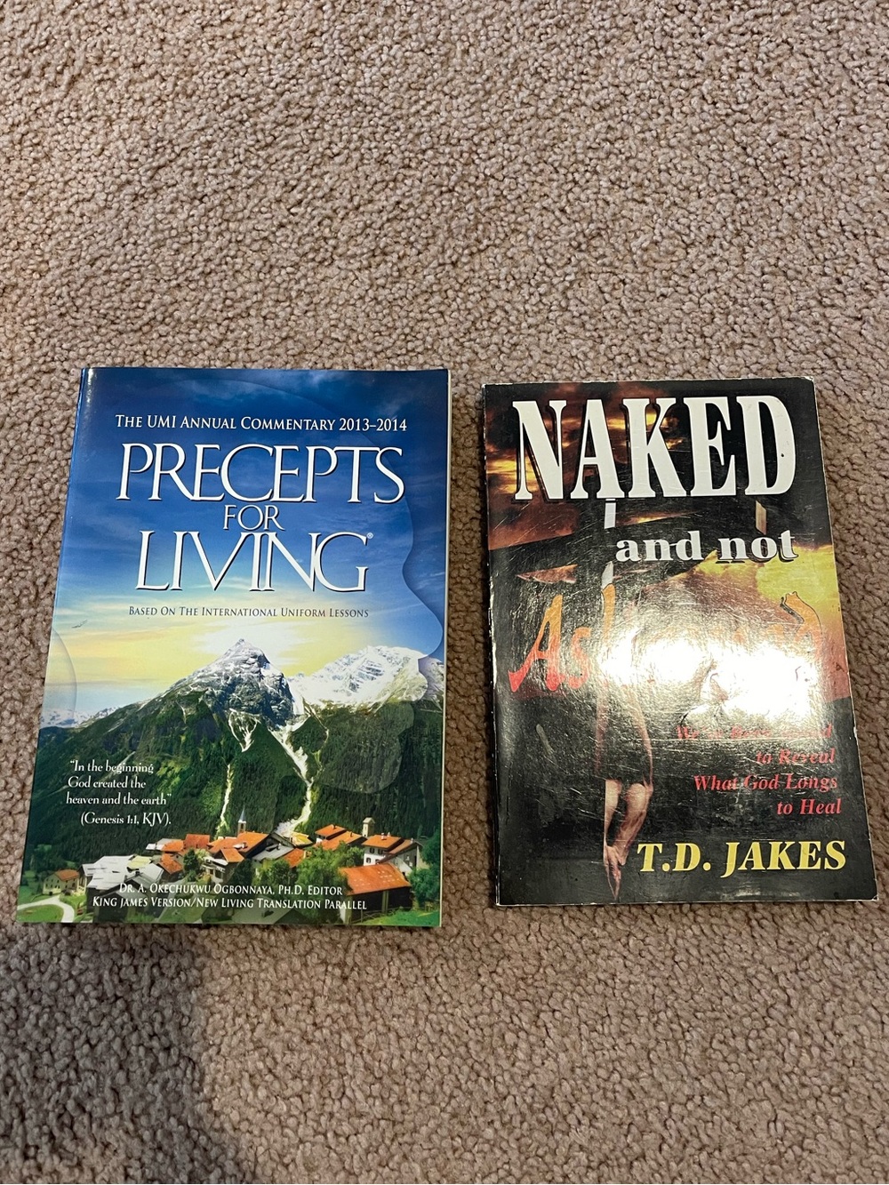 Assorted Inspirational Books Bundle for Sale